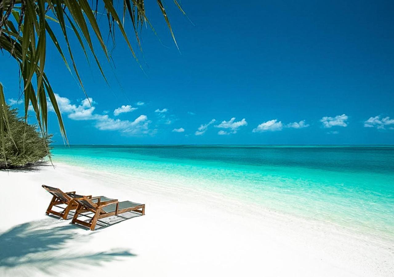 Tropical Tree Hotel Fehendhoo Exterior photo