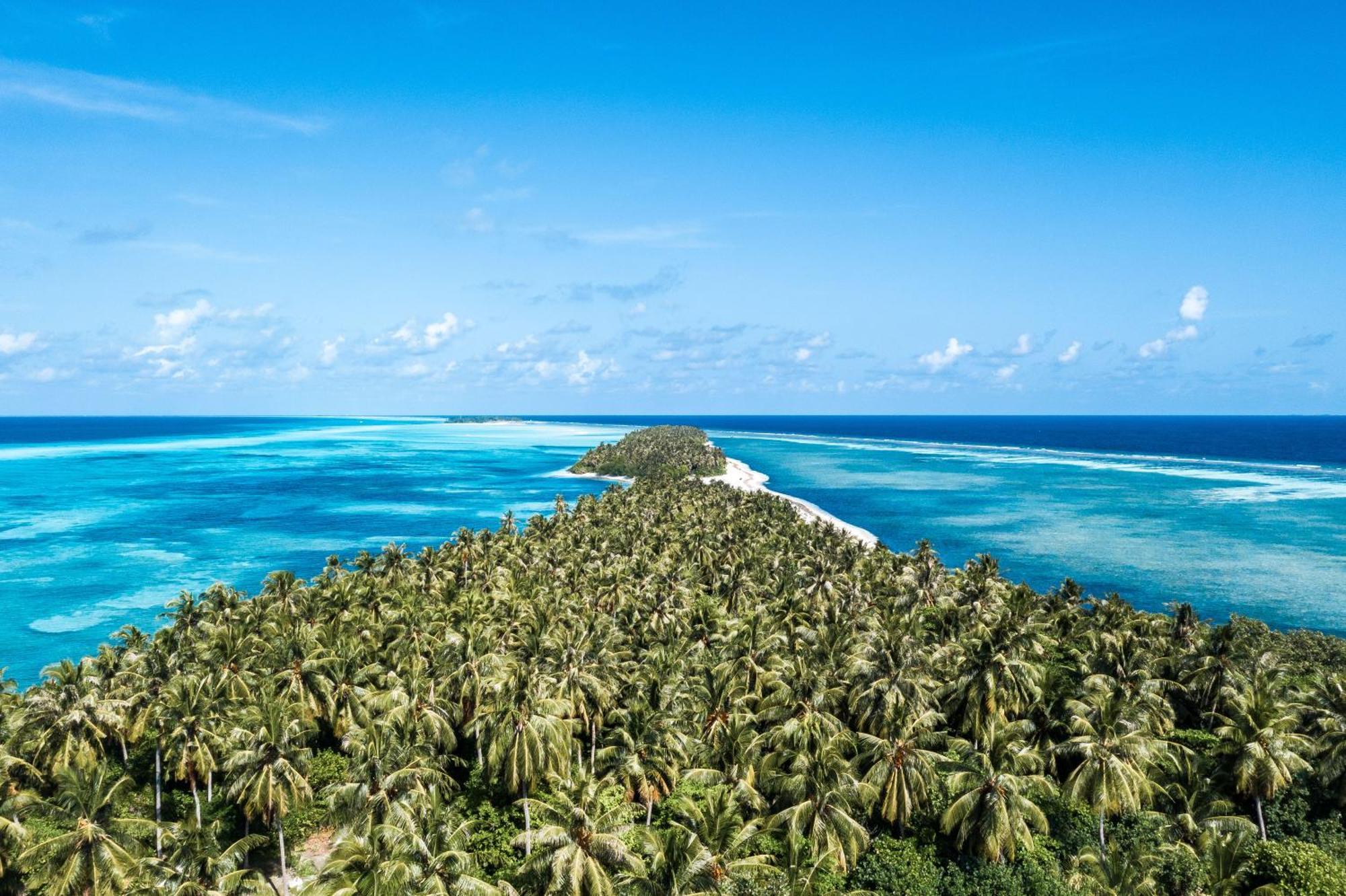 Tropical Tree Hotel Fehendhoo Exterior photo