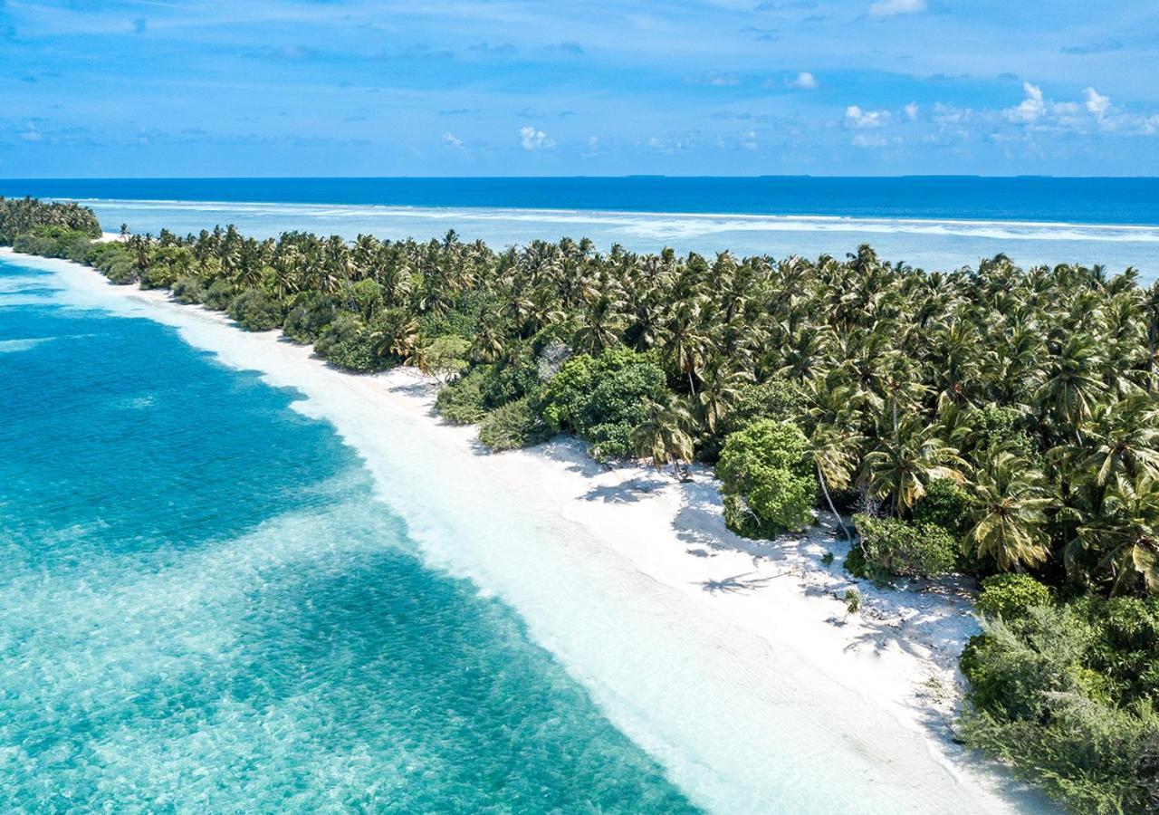 Tropical Tree Hotel Fehendhoo Exterior photo